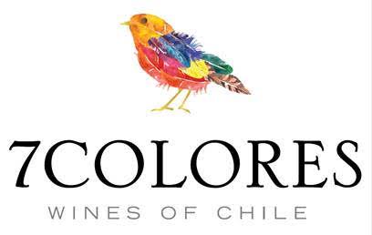 Logo 7 Colores