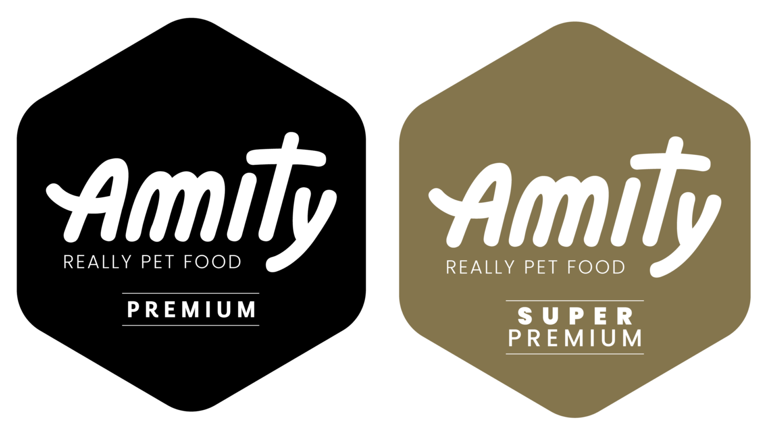 Logo Amity