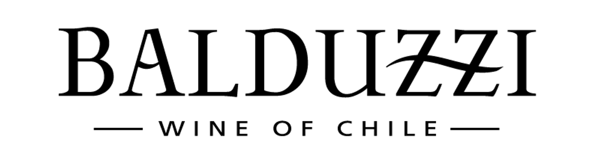 Logo Balduzzi