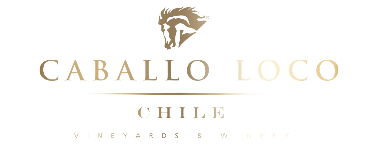 Logo Caballo Loco