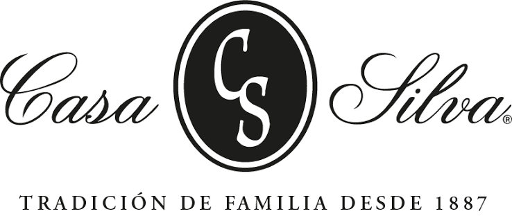 Logo Casa Silva