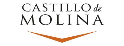 Logo Castillo de Molina