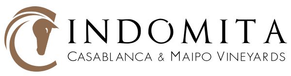 Logo Indomita