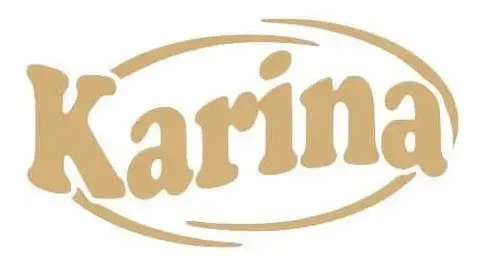 Logo Chocolate Karina