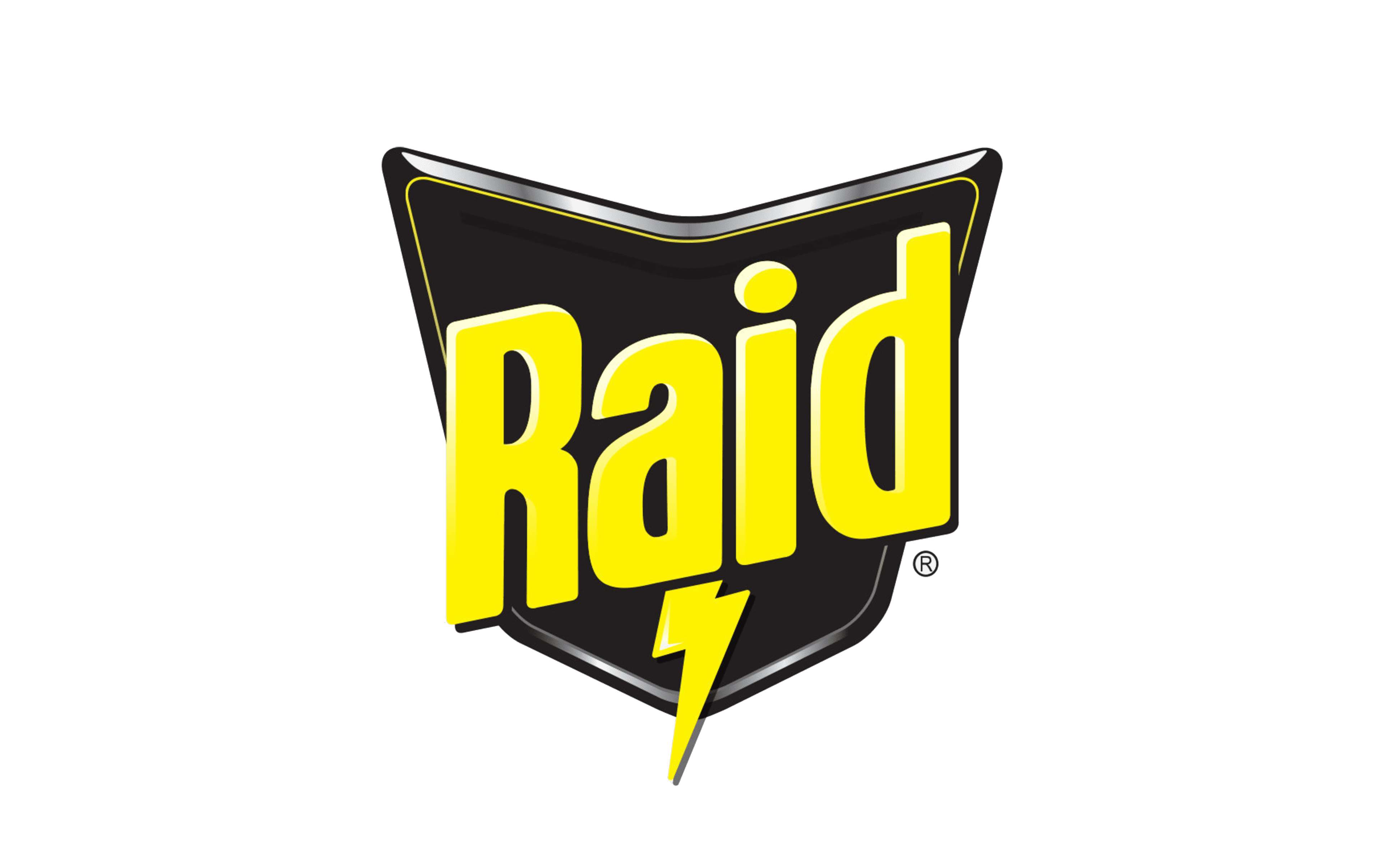 Logo Raid